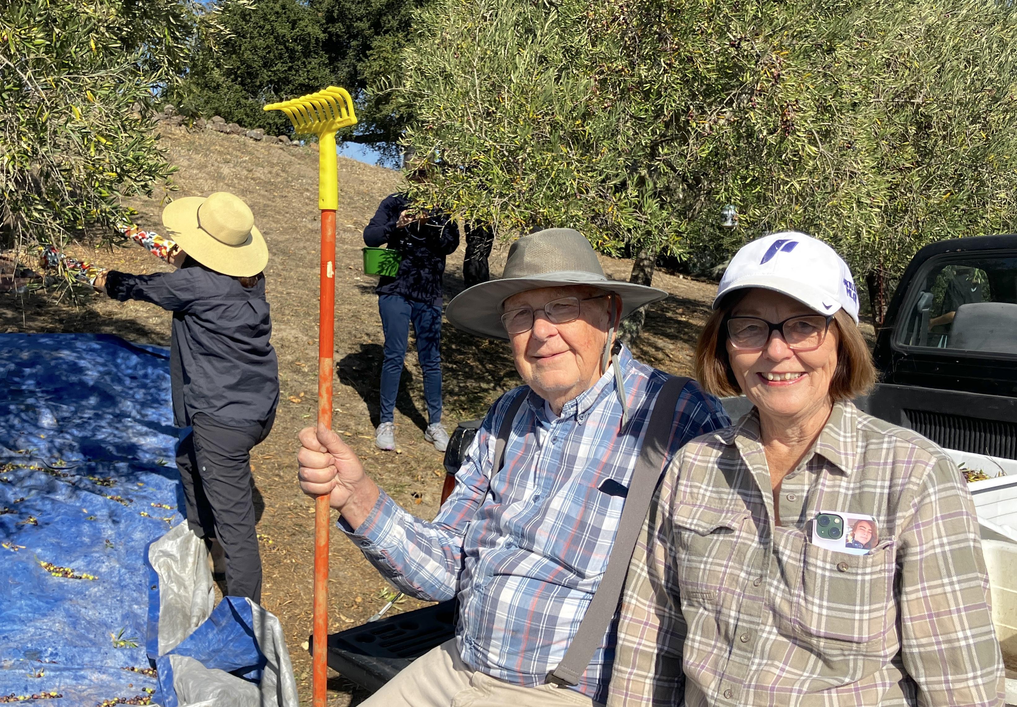 47 MerzenichOlivePicking