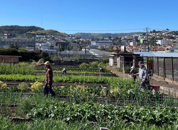 California drought relief applications open for small and underserved farmers Placeholder Image