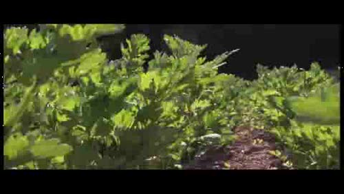 Nuestra Voz, Boyes Hot Springs