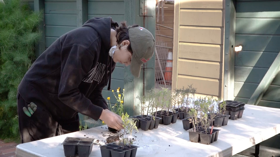Connect the Bay: Luther Burbank Home & Gardens