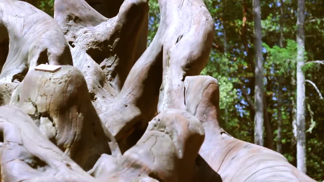 Sonoma Inspired: Bruce Johnson