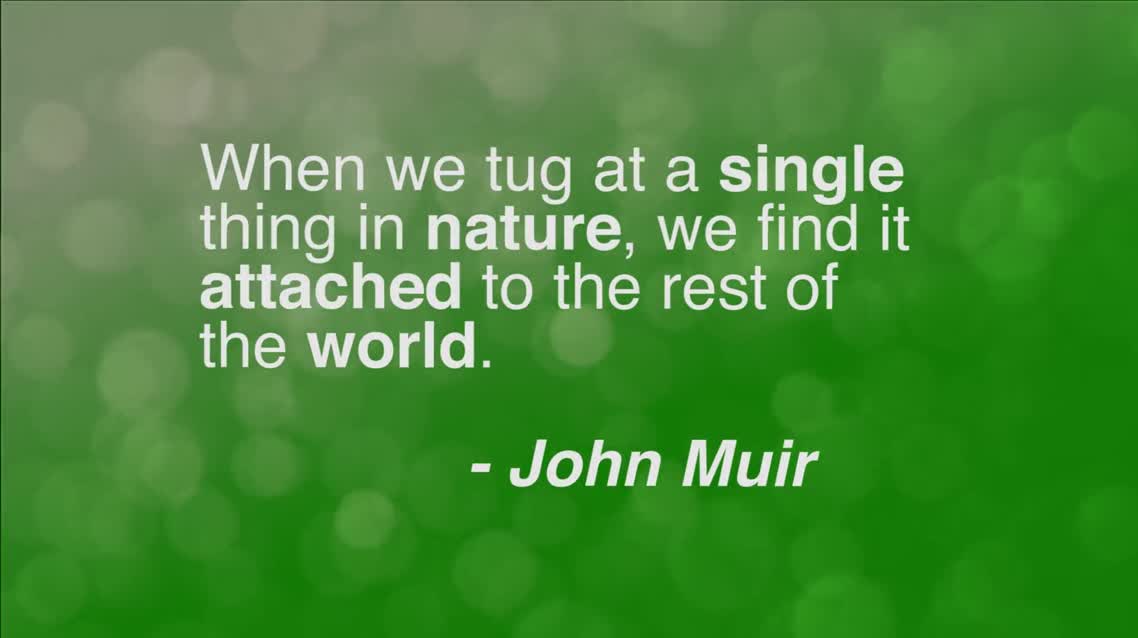 When we tug at a single