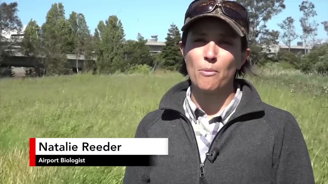 Bay Area Bountiful: Sustainable Communities