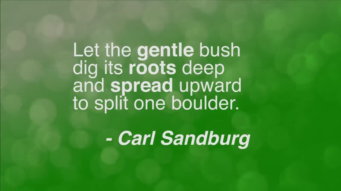 Let the gentle bush dig