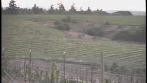 Sonoma Coast Appellation