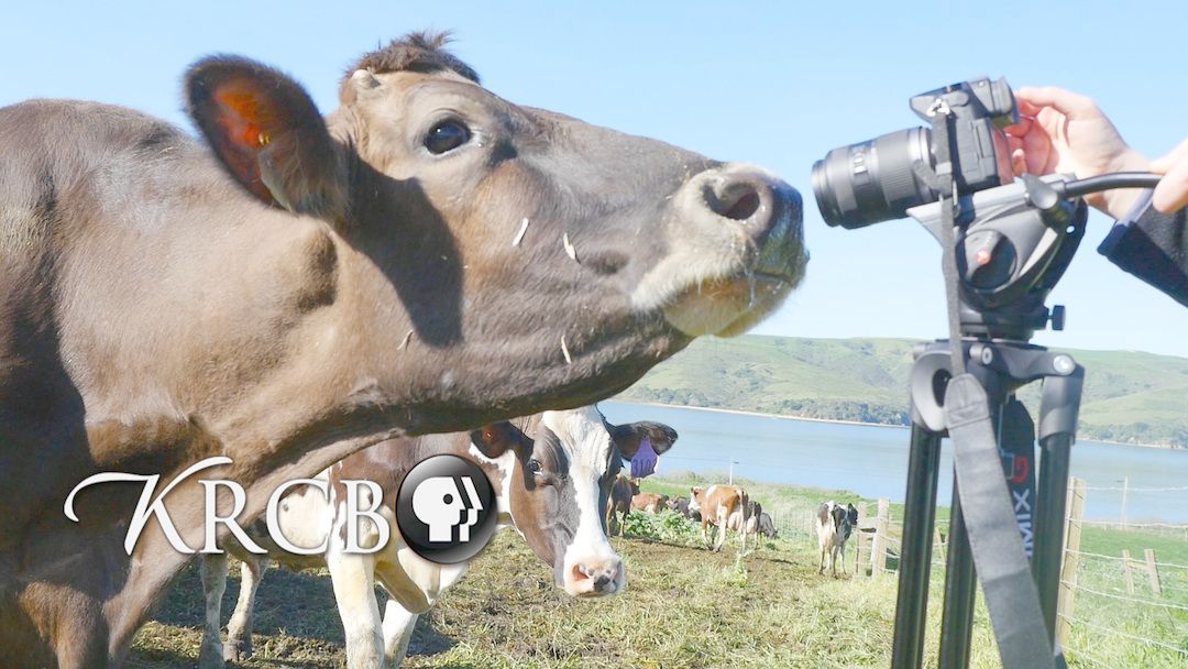 North Bay Bountiful: Carbon & Compost
