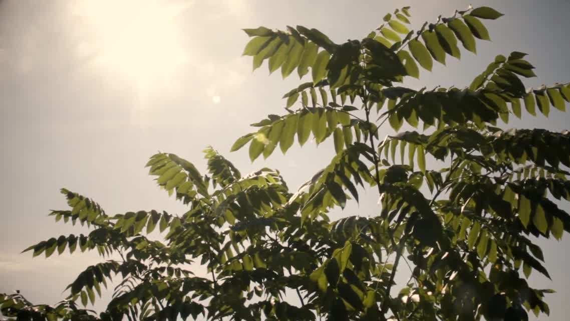 Adapting to Climate Change