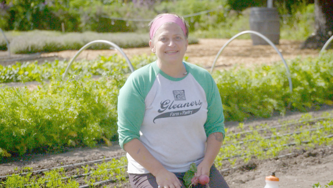 Bay Area Bountiful Promo: Feeding A Need