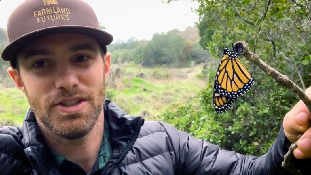 Minute with Matt: Monarch Butterflies