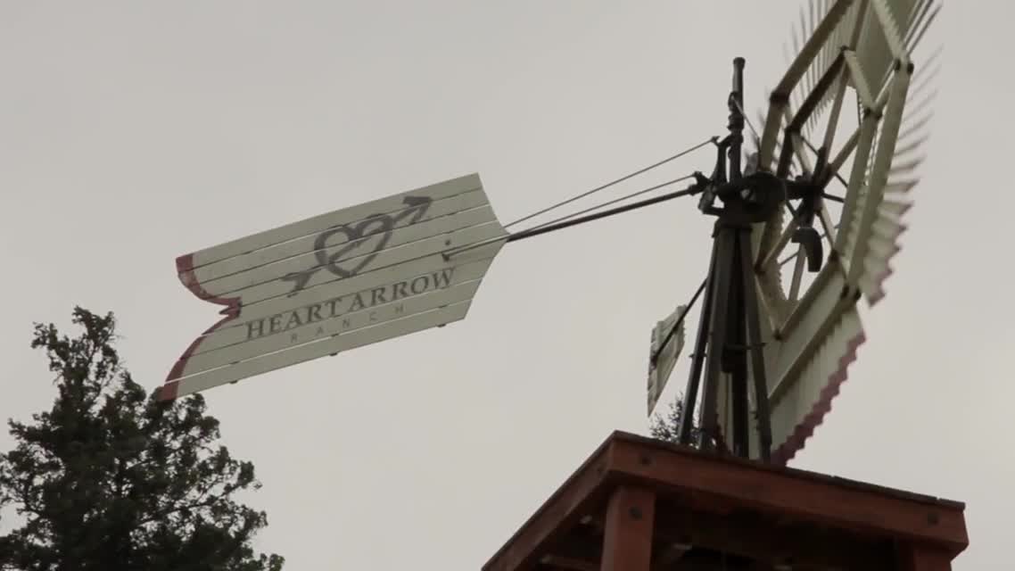 FarmShorts: Mendocino Organics