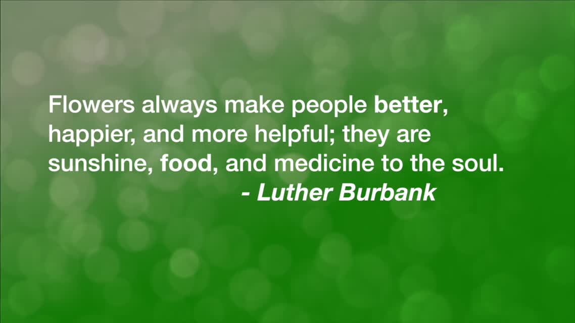 Flowers Always Make People Better...