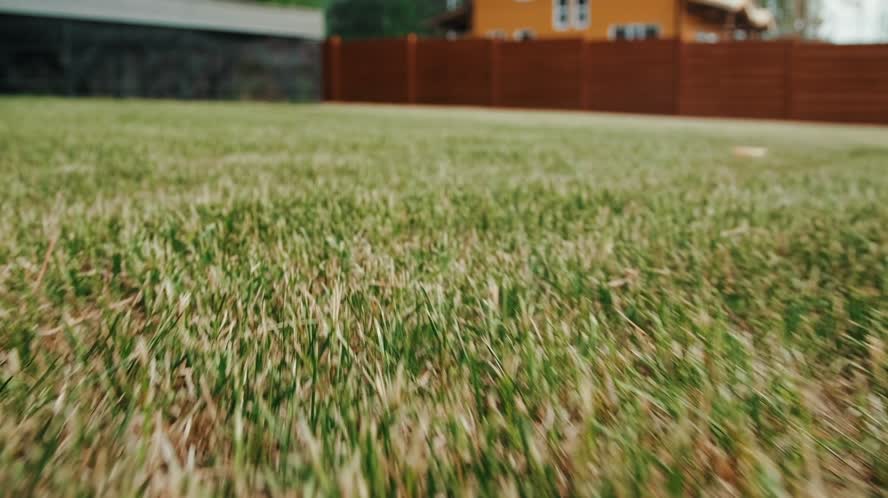 PSA de Conservación del Agua: "Consejos de riego"