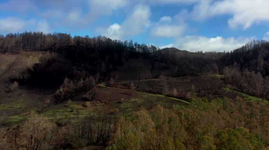 Bay Area Bountiful Short Story 3-1